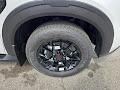 2025 Nissan Armada PRO-4X